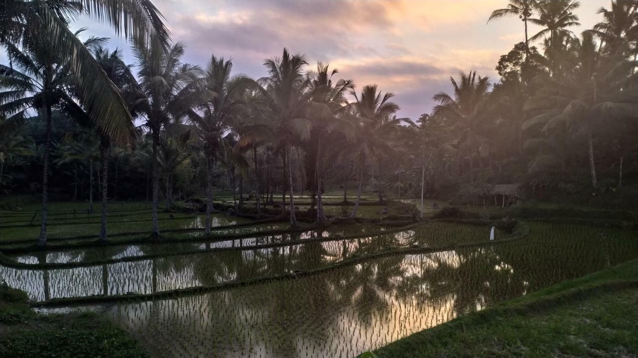 Appartamento Bale Kembang Kuning Tetebatu Esterno foto