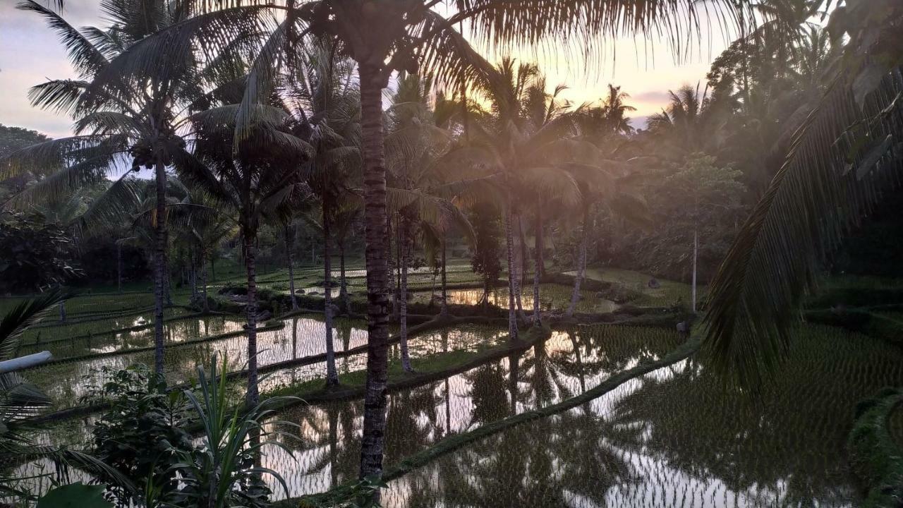 Appartamento Bale Kembang Kuning Tetebatu Esterno foto