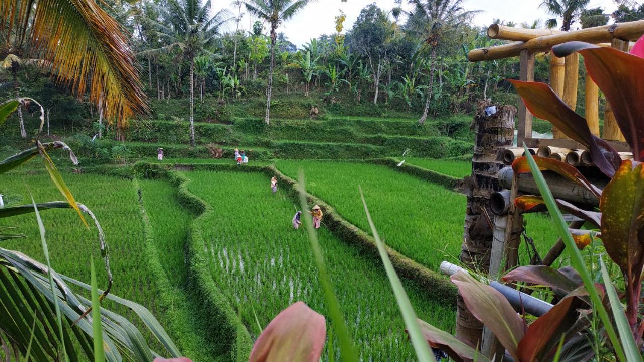 Appartamento Bale Kembang Kuning Tetebatu Esterno foto