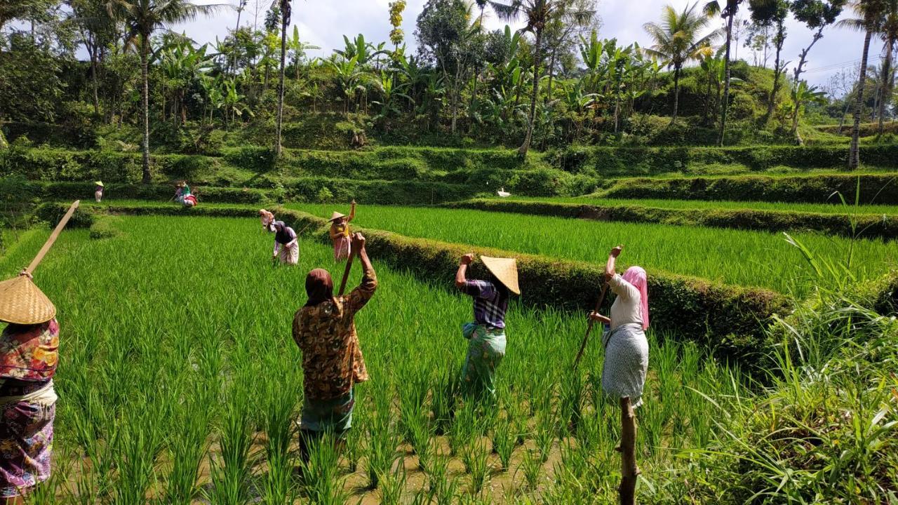 Appartamento Bale Kembang Kuning Tetebatu Esterno foto